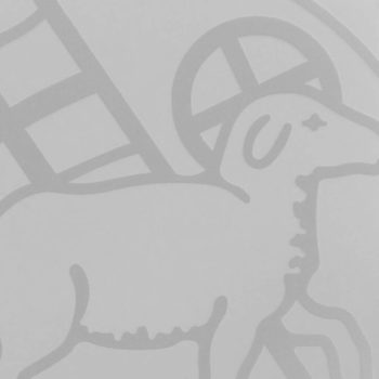 Moravian lamb in gray